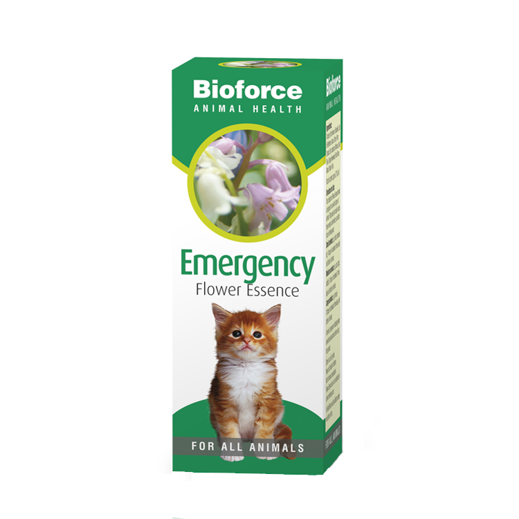 A.Vogel Animal Emergency Essence 30ml